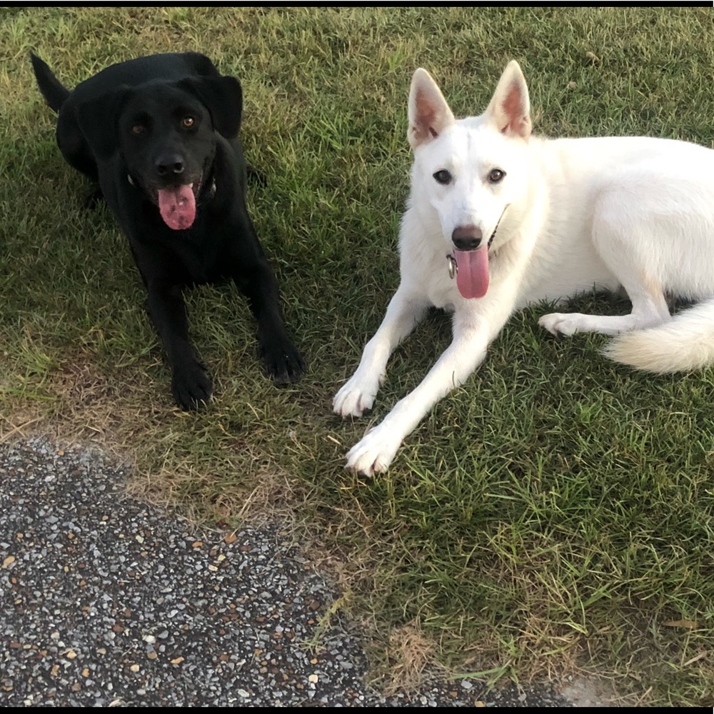 Meet your Posher, Laura